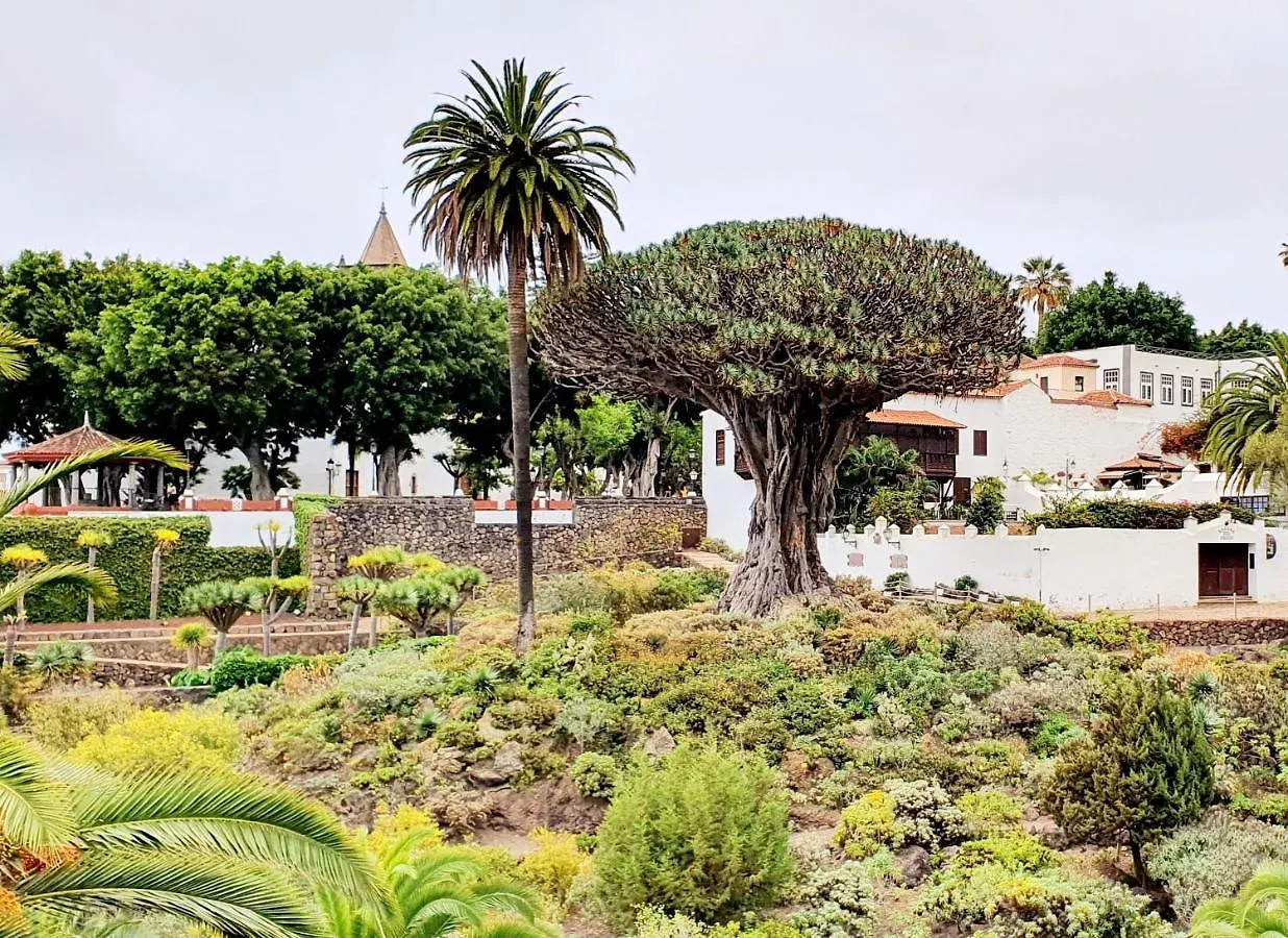 Cristi Puerto Santiago Apartment By Hrtenerife Net Puerto de Santiago